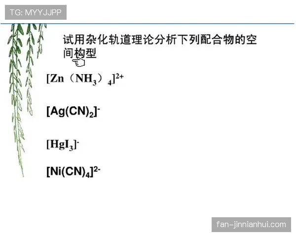深度解析非法挡拆规则的判定界限与标准